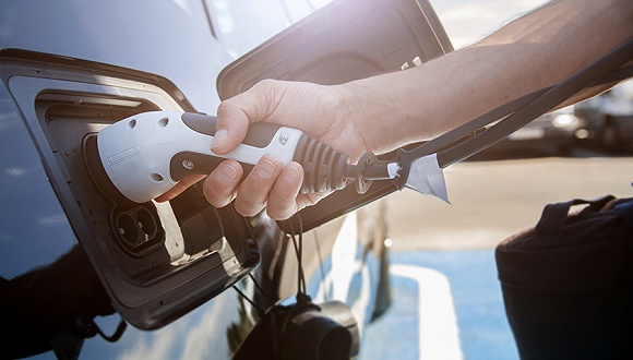 1500801787699475.jpg 13.jpg