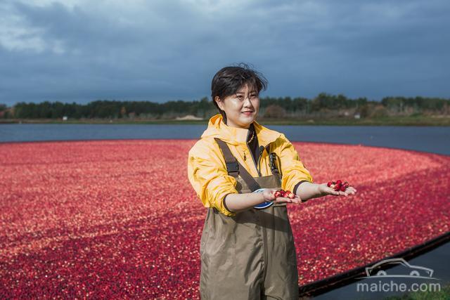 1510385932609654.jpg 00fa0b8512734c2893ac7f74c5431ac6.jpg